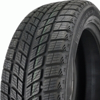 Зимние шины Doublestar Winterking DW09 235/50 R19 99H
